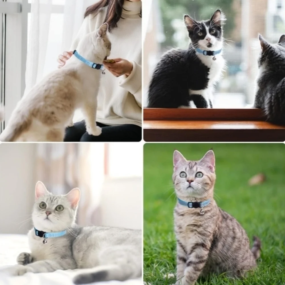Reflective Adjustable Breakaway Cat Collar‎ Nylon Strip Sky Blue